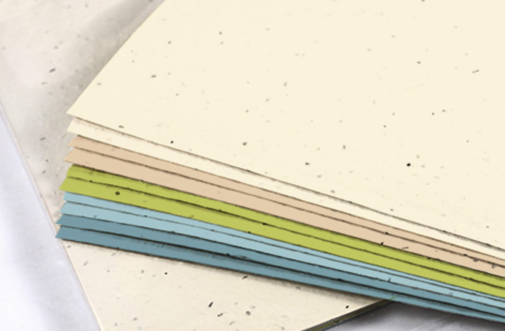 seed paper
